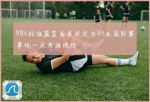 NBA标准篮筐高度设定为05米国际赛事统一采用该规格