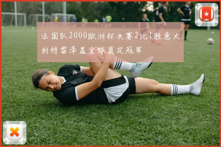 法国队2000欧洲杯决赛2比1胜意大利特雷泽盖金球奠定冠军