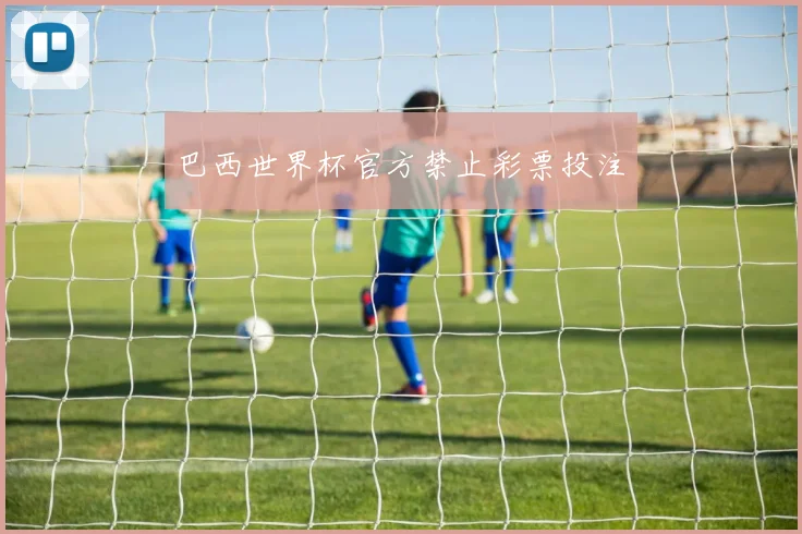 巴西世界杯官方禁止彩票投注