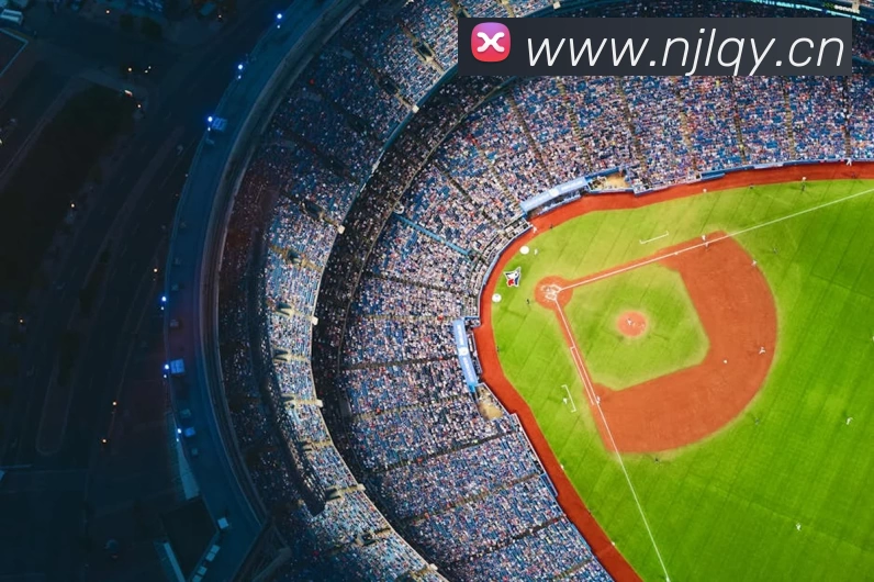 多媒体互动体验